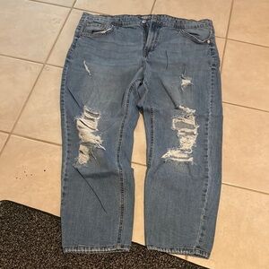 Wild Fable Distressed Blue Jeans